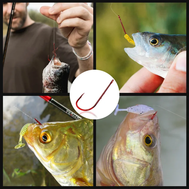 FishTrip-anzuelo de caña larga, porta cebo · Anzuelos