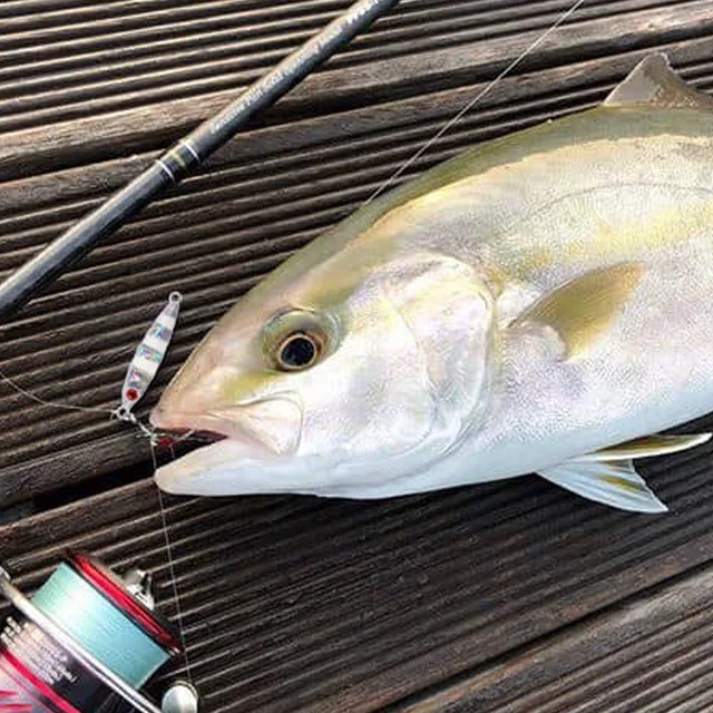 FSTK-señuelo de pesca en agua salada, Micro · Señuelos