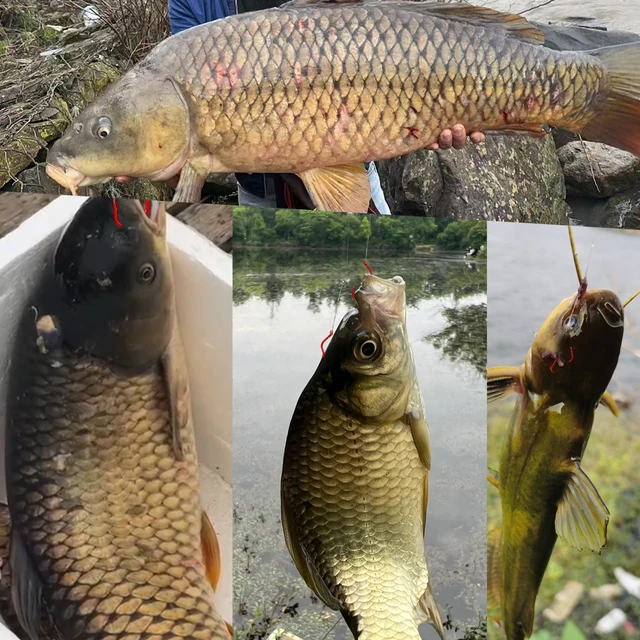 FTK 12 Uds 24 Uds anzuelo de pesca de acero · Anzuelos