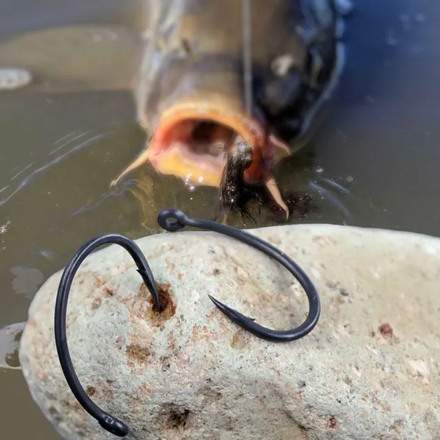 Hirisi-anzuelos de pesca de carpa, 50 Uds., · Anzuelos