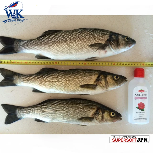 Kit de Señuelos de Pesca Seabass de 6cm, 7,5 · Señuelos
