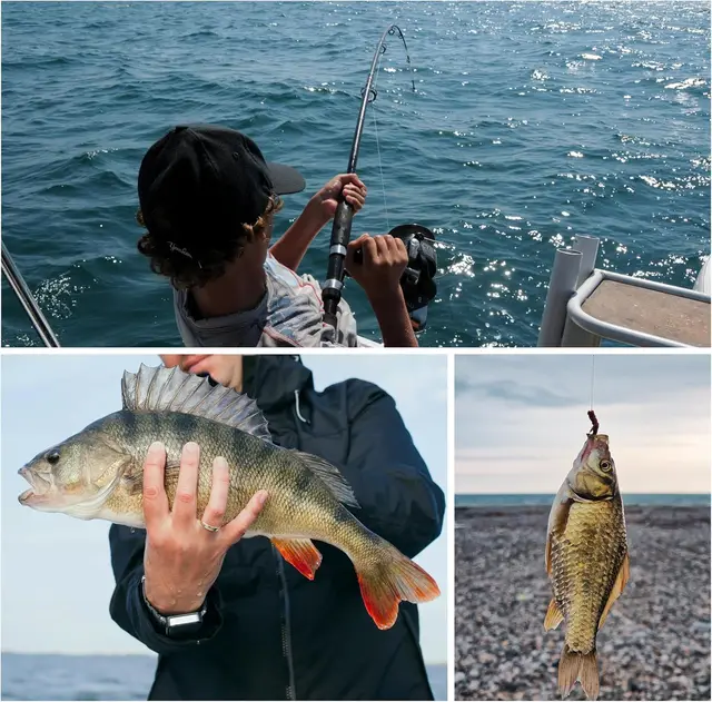 Mejora tu técnica de pesca con nuestra línea de pesca