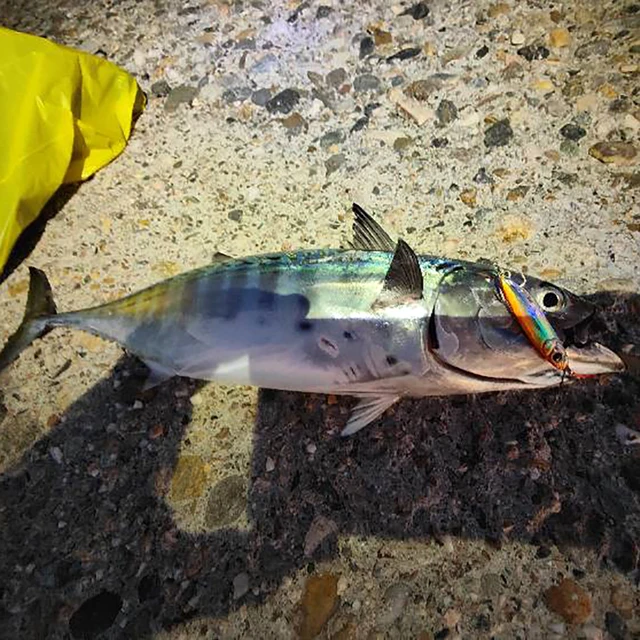 Pesca de plumas, plantilla de Metal de carbono · Señuelos