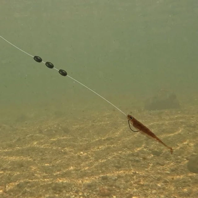 Plomos de Pesca 30 Unidades: Plomo Dividido Ovalado y Forma de Frijol